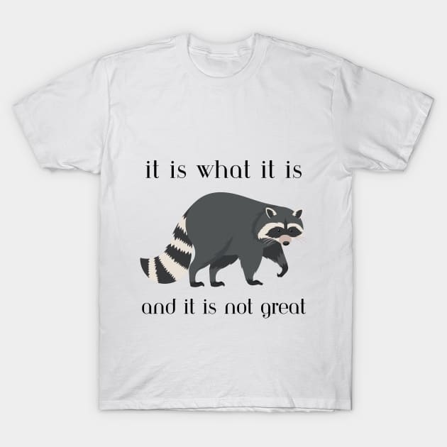 It is what it is. (Light) T-Shirt by Nicole's Awkward Adventures